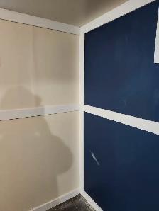 Professional painter