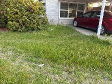 Hiring to cut grass