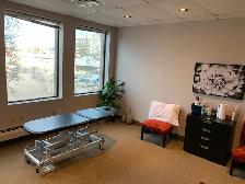 physiotherapist position