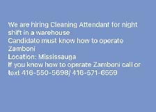 Cleaning Attendant