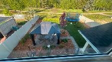 Yard Work Labourer needed for landscaping