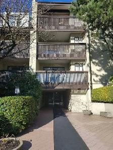 Beautiful 1 bedroom apartment. Best location