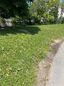 Clean School Yard / cash