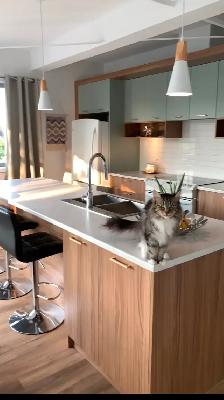 Appartement/condo à louer