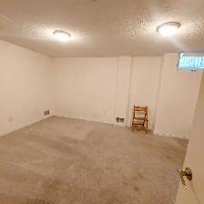 Basement available in Guelph near University of Guelph