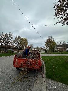 Driver wanted.
