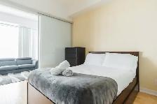 Downtown 1 bed 1 bath fully furnished all included