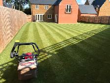 lawn care service