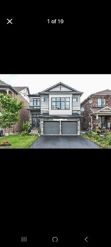 2 bed basement for rent