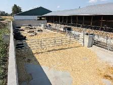dairy service tech