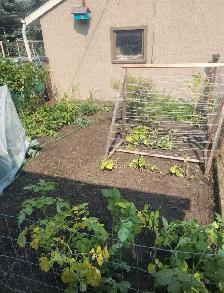 yard and garden maintenance