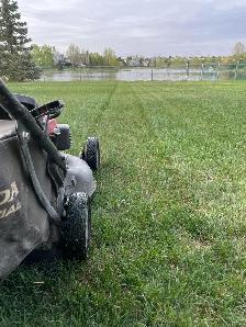 Lawn Maintenance/Landscape Construction Help