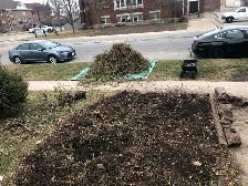 Digging & Landscaping Help – $20/hr