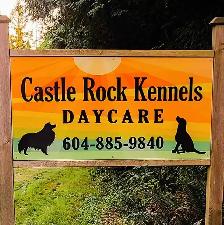 Dog Daycare/Boarding Attendant