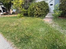 Hiring to mow my lawn