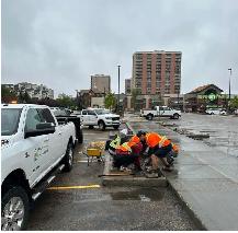 LANDSCAPING LABOUR JOB POSITION