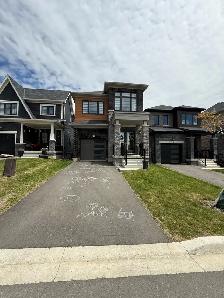 Detached 4Bedroom, Walkout Basement Home For Rent