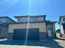 Rosewood Walkout basement- 2 beds 1 bath, legal suite for rent