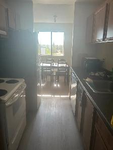 Den for rent - Callingwood