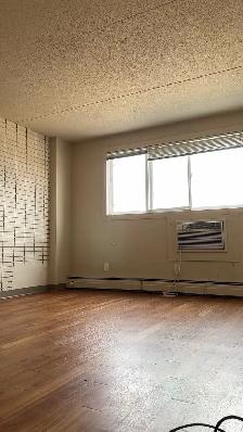 experienced painter $20/h