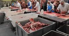 Halal butcher - Retail Store