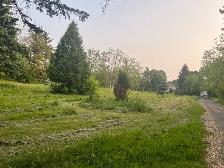 $100 Lawn cutting needed asap