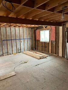 Hiring highly skilled carpenter / finisher / renovator