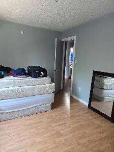 room for rent west end