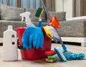 femme de menage / cleaning lady