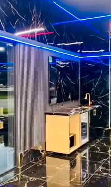 Professional construction and renovation