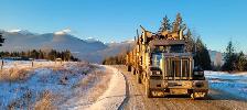 ELITE TRANSPORT - Log Truck Driver