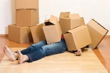 Looking for moving assistance