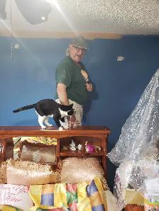 experienced painter