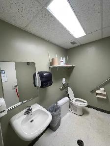Landscaping/ General Labour/ Cleaner