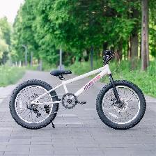 JOYSTAR 20 Inch Kids Mountain Bikes, 7 Speed Kids Bike.