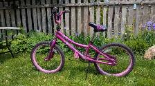 Supercycle Youth Bike - Pink