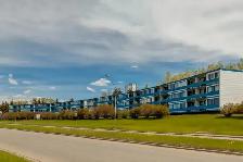 Renovated 1BR apt near Foothills Hospital, SAIT and U of Calgary