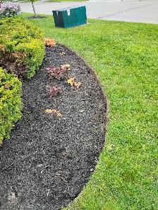Garden and lawncare available $20 hour