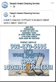 Home Cleaner