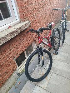 Supercycle Mountain Bike