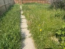 Looking for someone to cut the grass