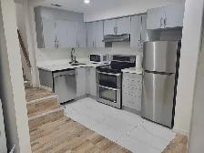 Walkout Premium-  2 Bed/Park Legal Basement - From July 1st