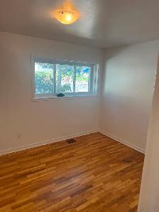 Painter and taper
