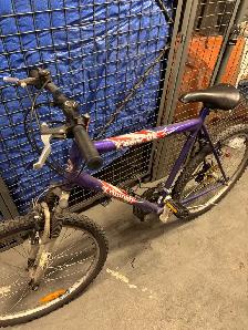 Triumph Racer DX Mountain Bike