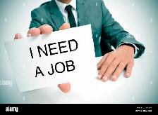 looking for job
