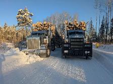 class 1 log truck driver