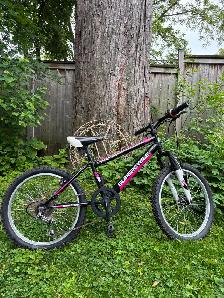 GIRLS 20 INCH BIKE 