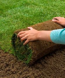 looking for someone that has tools to do sod jobs with exp