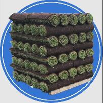 Shumski's Garden Centre - Fresh Peat Sod for Sale