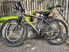 Mountain Bicycle
